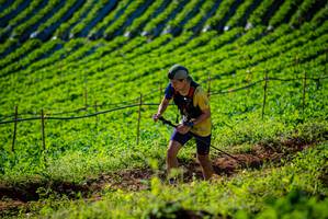 BIB: 
                            <button type="button" onclick="openModal(19160620)" class="btn btn-primary btn-sm float-right btn-popup" data-toggle="modal" data-target=".modal-high-quality">
                        <i class="fas fa-shopping-cart"></i> Add to Cart
                    </button>
                                            <button type="button" onclick="isThisMe(19160620, true)" class="btn btn-success btn-sm float-right btn-popup btn-isme hidden" data-toggle="tooltip" data-placement="bottom" title="นี่คือรูปของคุณใช่ไหม คลิกที่นี่เพื่อเอาเข้าอัลบั้ม">
                        <i class="fas fa-plus"></i> Add to album
                    </button>
                    <button type="button" onclick="isThisMe(19160620, false)" class="btn btn-warning btn-sm float-right btn-popup btn-isnotme hidden">
                        <i class="fas fa-ban"></i> Remove from album
                    </button>